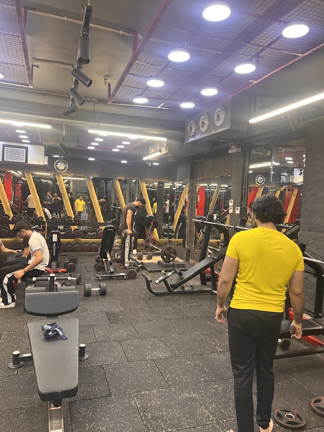 Chest Press Machine